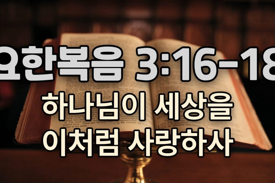 요한복음 3:16-28 - 제목