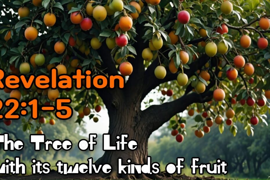 The tree of life with its twelve kinds of fruit