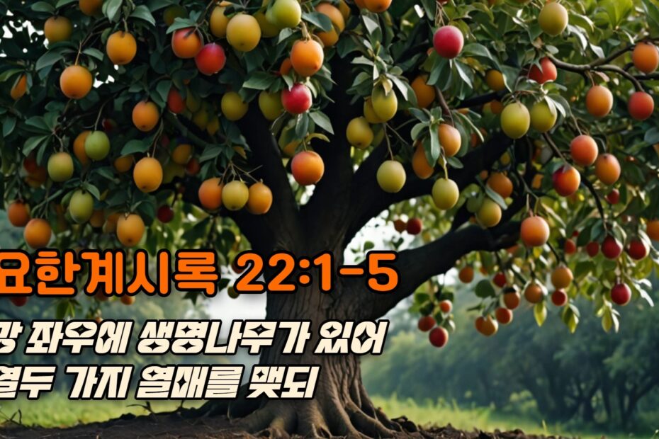 요한계시록 22:1-5 | 강 좌우에 생명나무가 있어