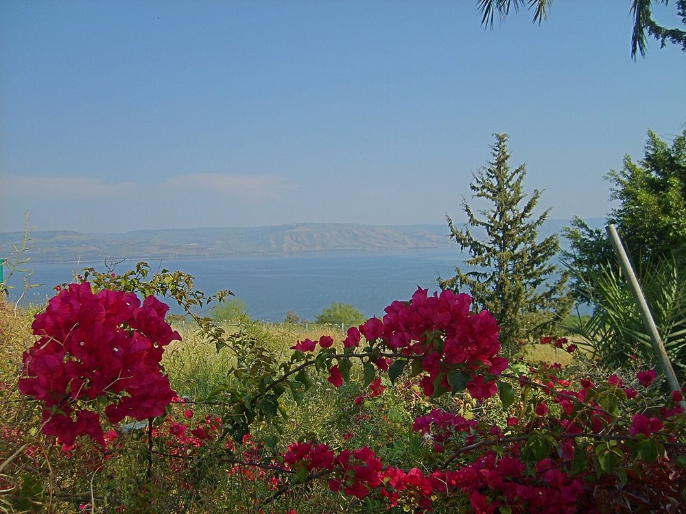 A hillside overlooking the Sea of Galilee