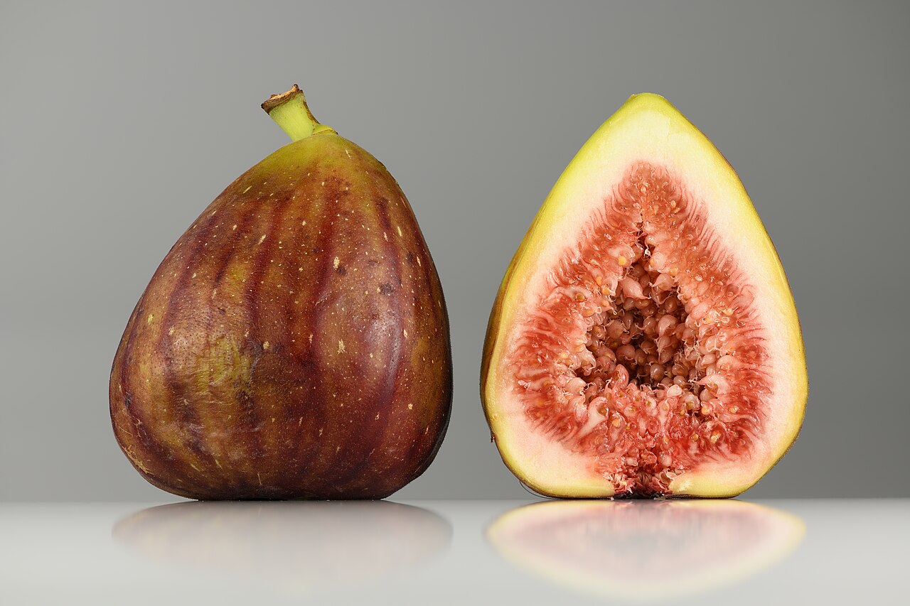A whole fig and a fig cut in half — the fig tree whose leaves Adam and Eve used to cover themselves