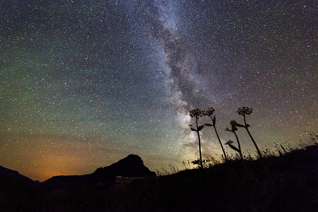 A night sky full of stars and the Milky Way