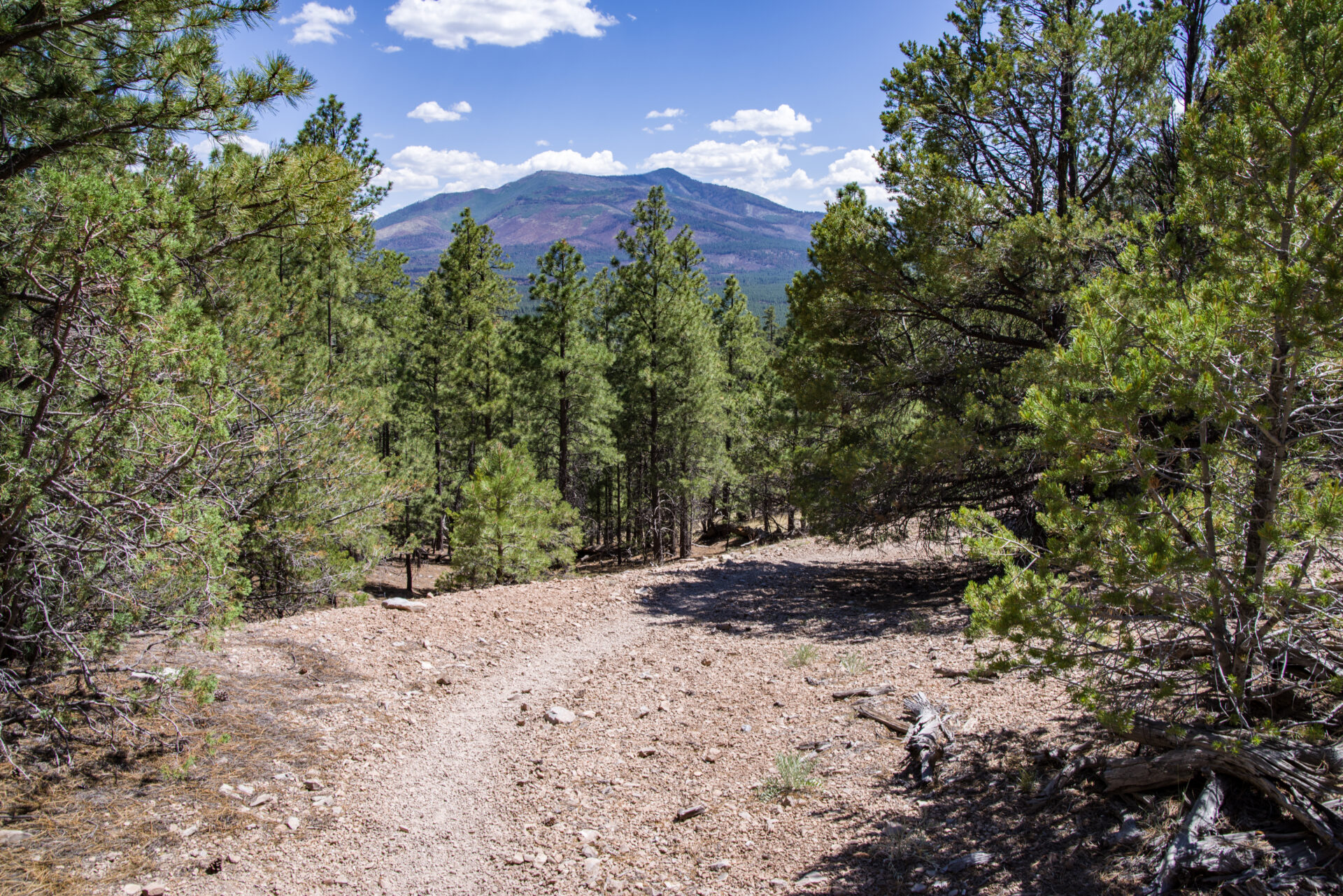 A narrow dirt trail leading up a mountain. The call to follow (Luke 9:23) means an ongoing, daily walk after the Teacher.
