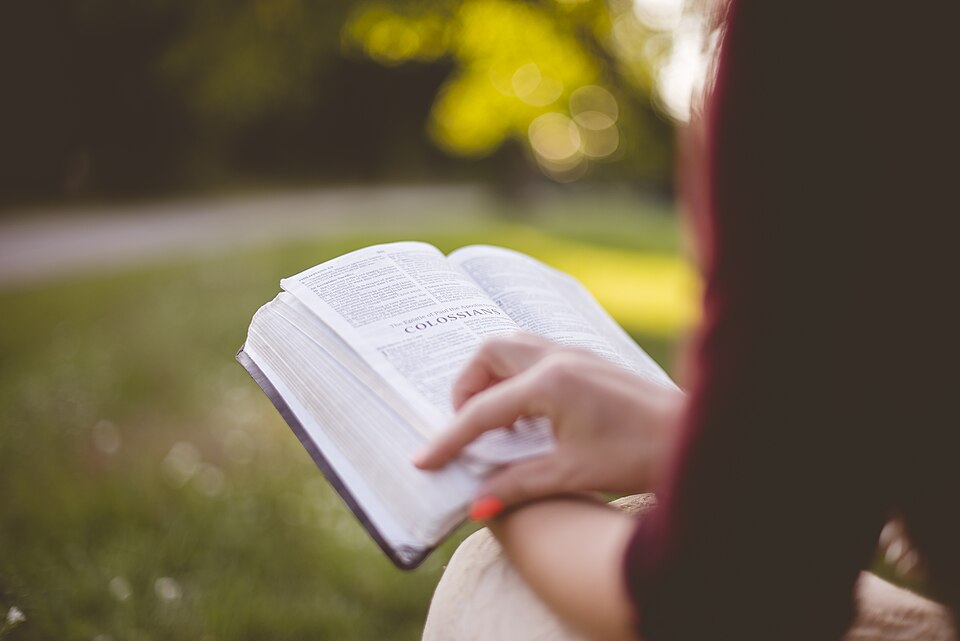 A person reading Scripture — 'abide' (menō) means continually remaining in the word, not a one-time decision.