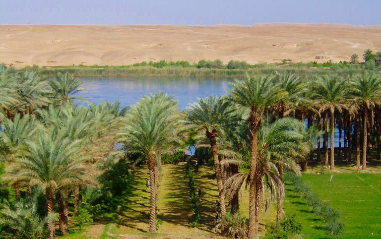 The Euphrates River flowing through a palm grove