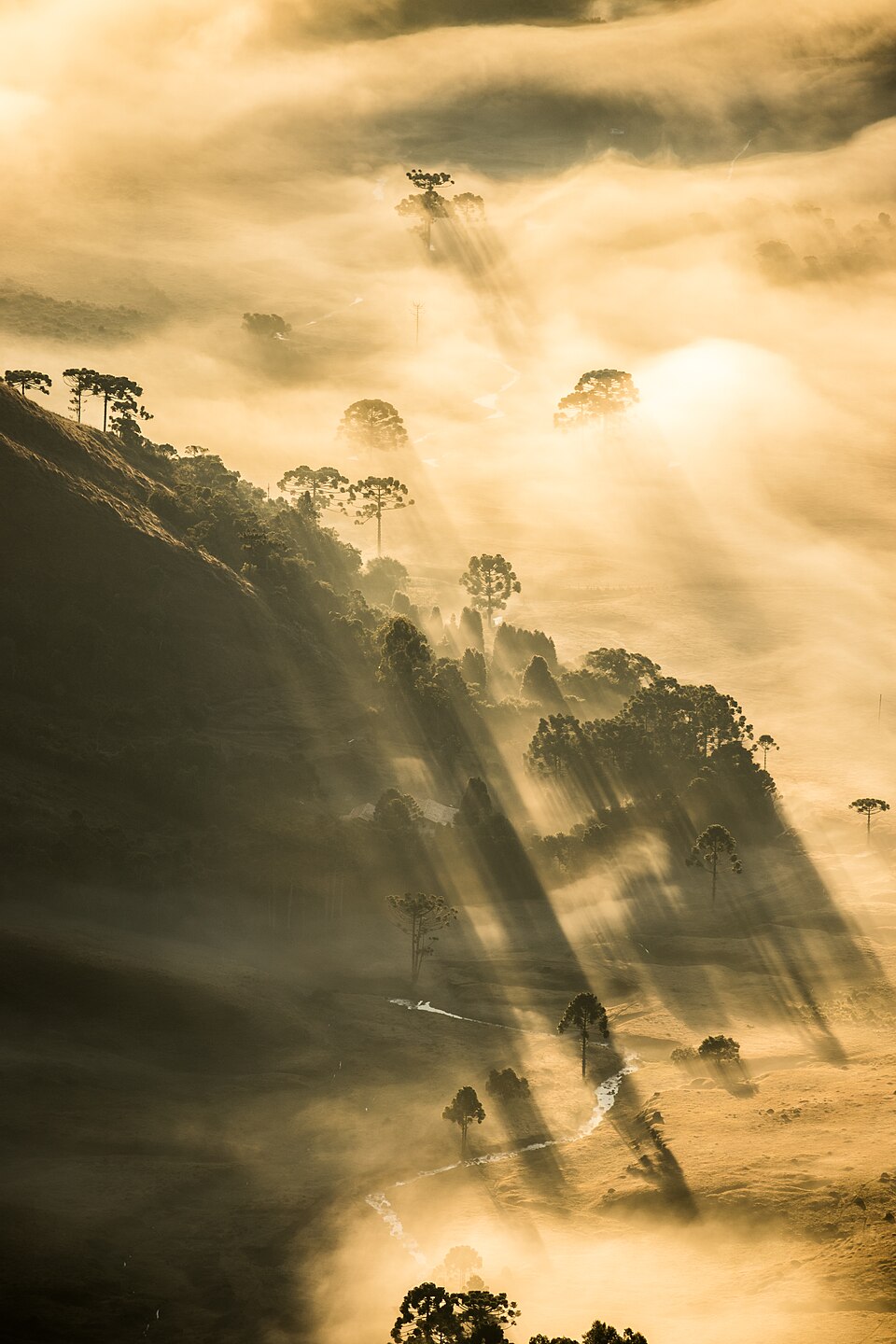Rays of light pouring over a stream in a misty valley, recalling the promise that there will be no more night