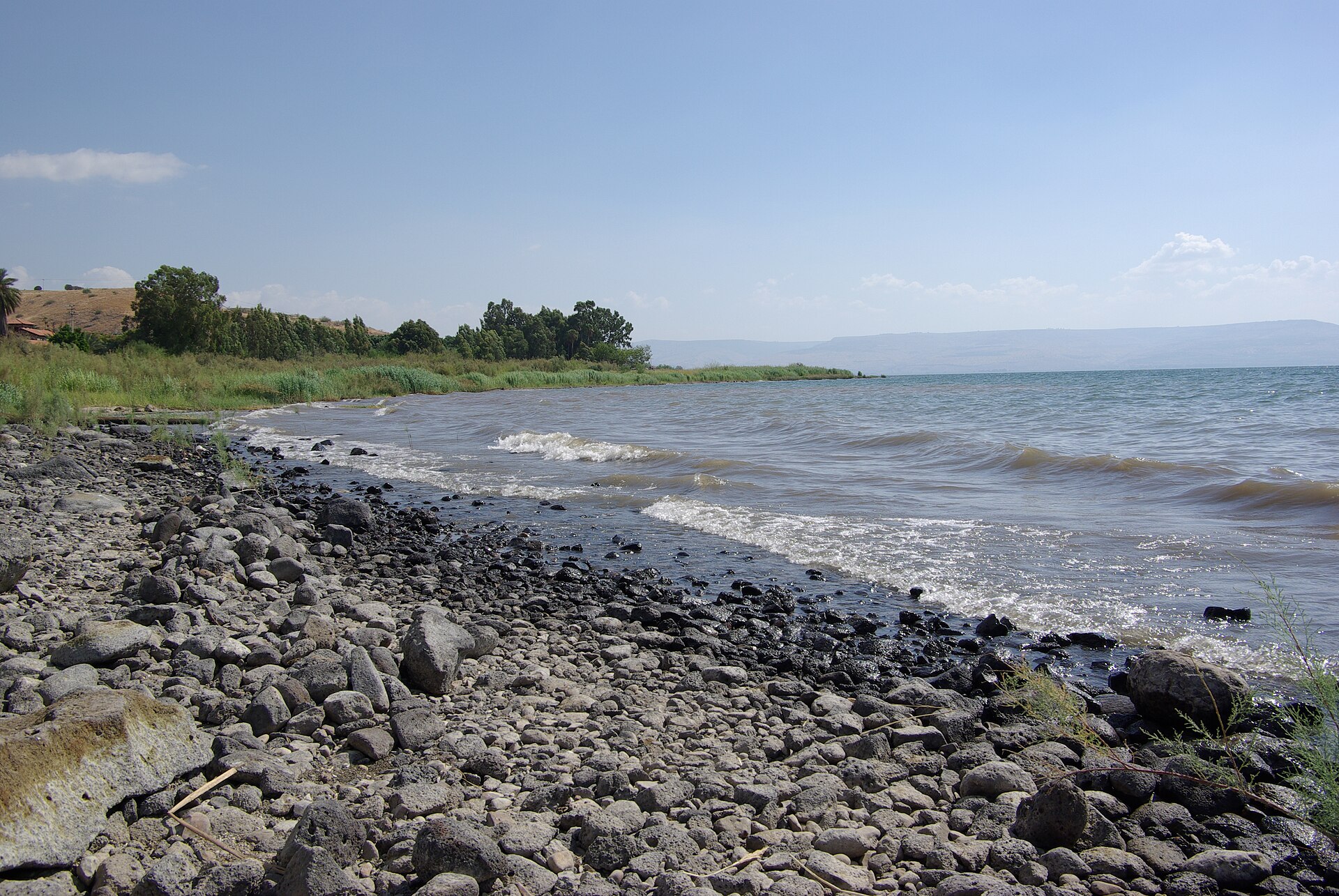 The shore of the Sea of Galilee — Jesus often withdrew to lonely places to pray (Mark 1:35; Luke 5:16).