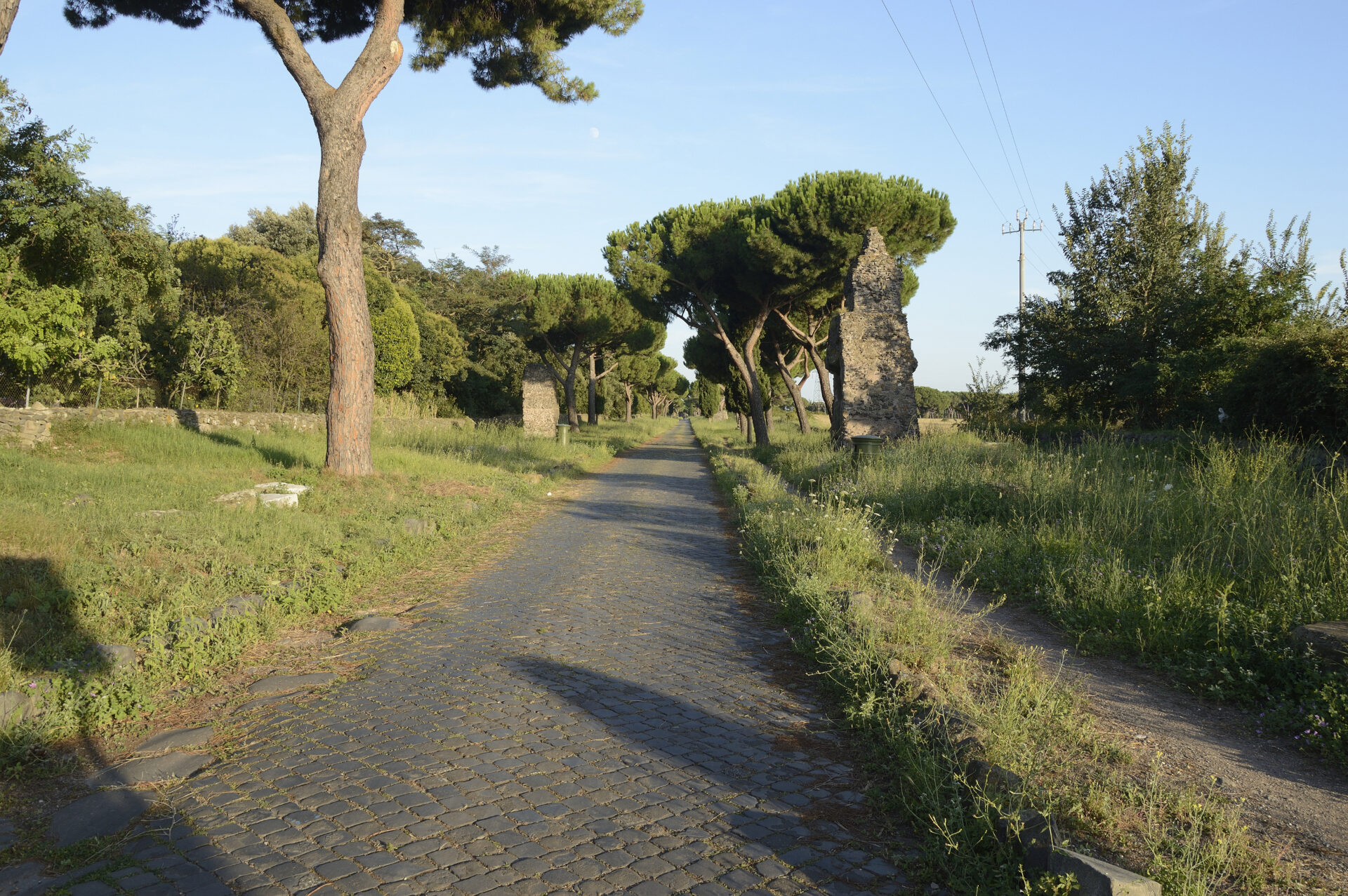The stone-paved Appian Way outside Rome lined with umbrella pines