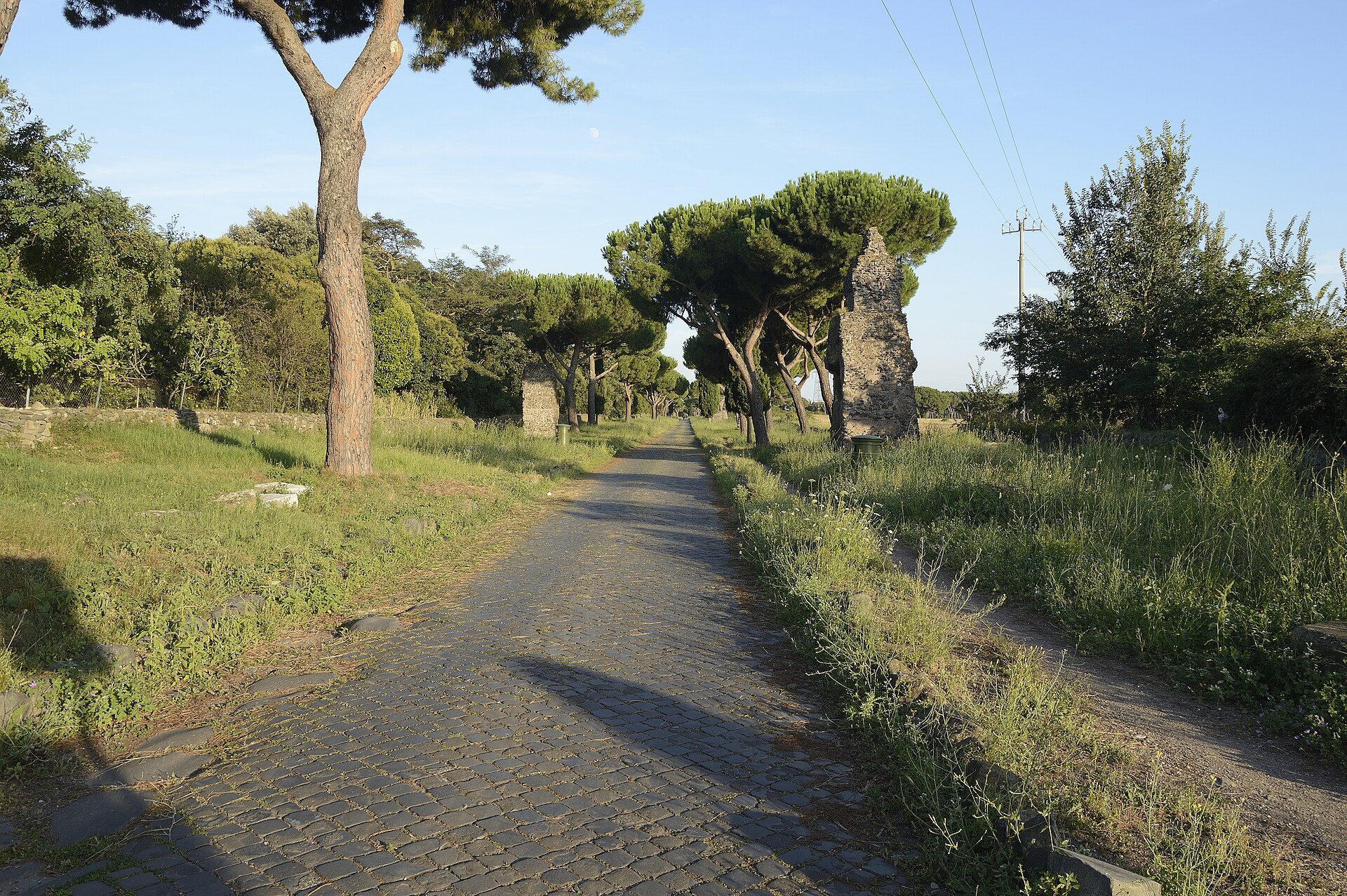 Ancient basalt paving of the Appian Way outside Rome, lined with umbrella pines