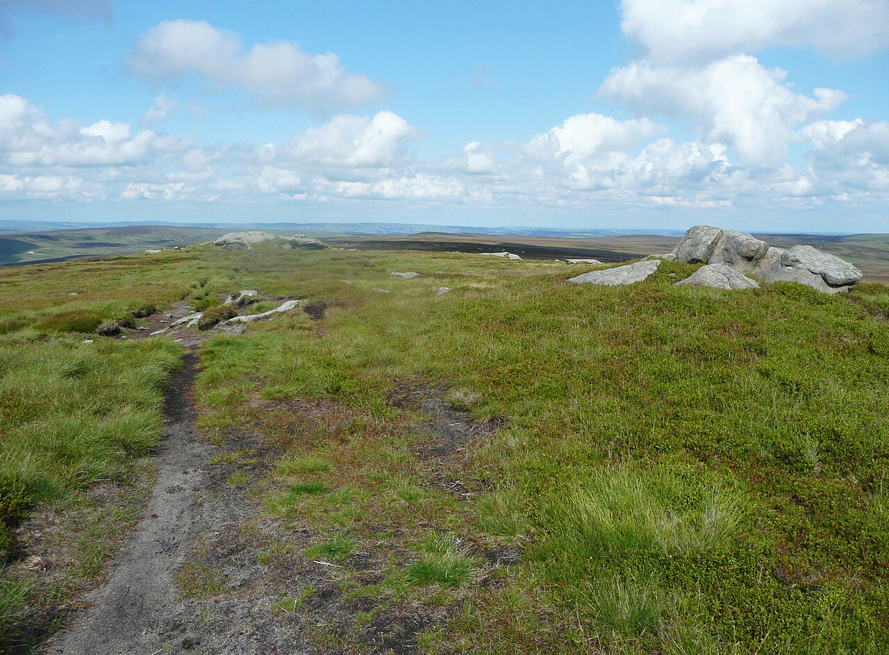 A narrow footpath through grass and rocks across open moorland