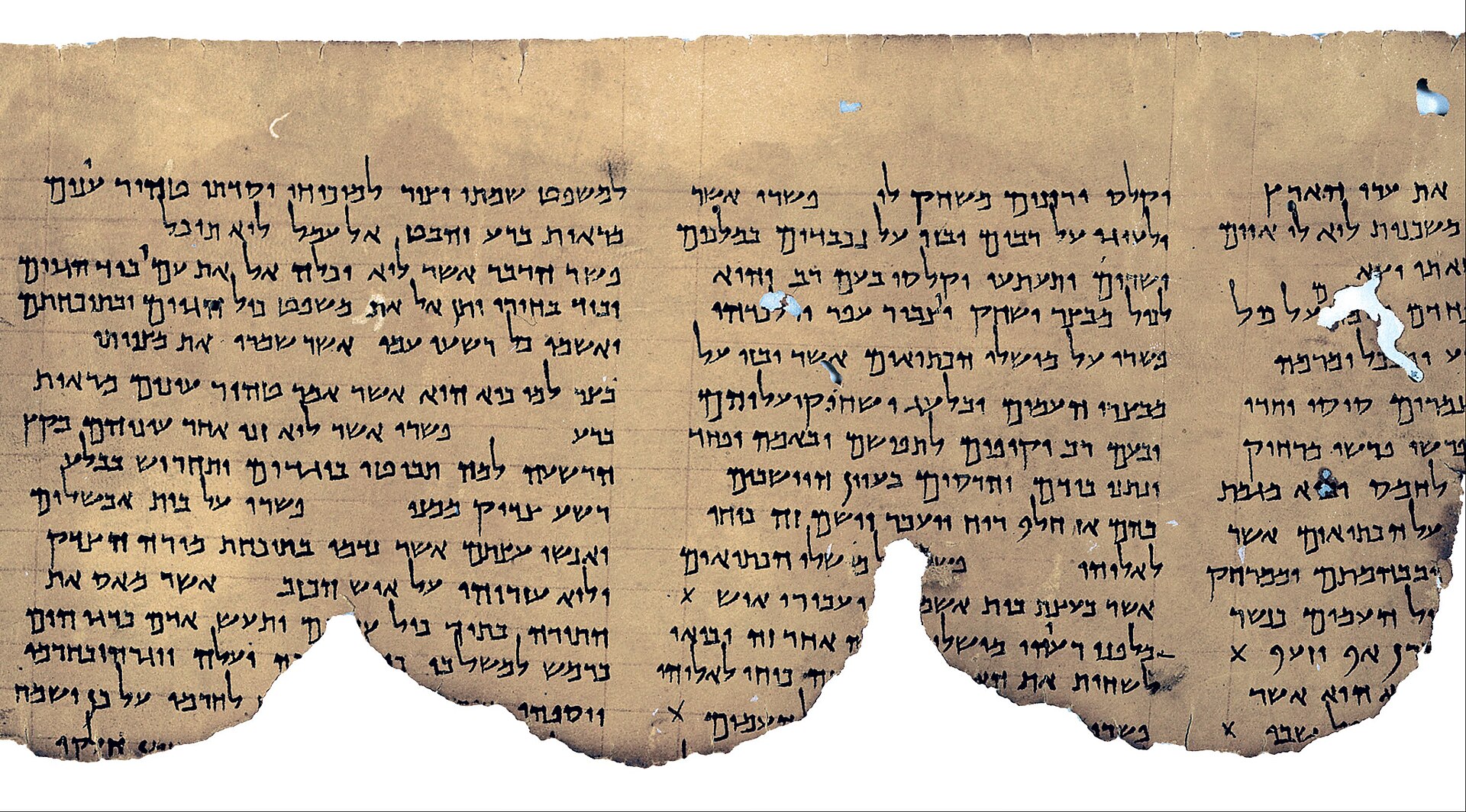 The Habakkuk Commentary scroll (1QpHab) found in Qumran Cave 1, now in the Israel Museum. It is an ancient manuscript that copies and comments on the text of Habakkuk.