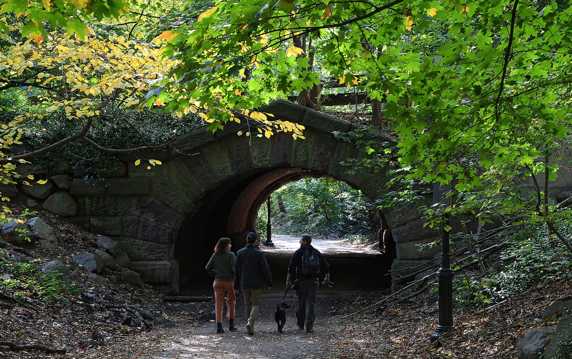 Three people walk together on a park path.