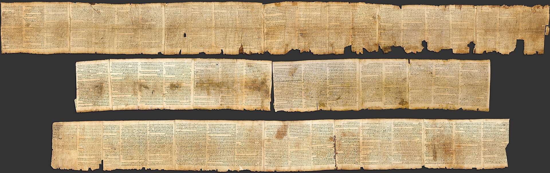 The entire Great Isaiah Scroll from the Dead Sea Scrolls laid out in three rows — columns of parchment densely written in Hebrew
