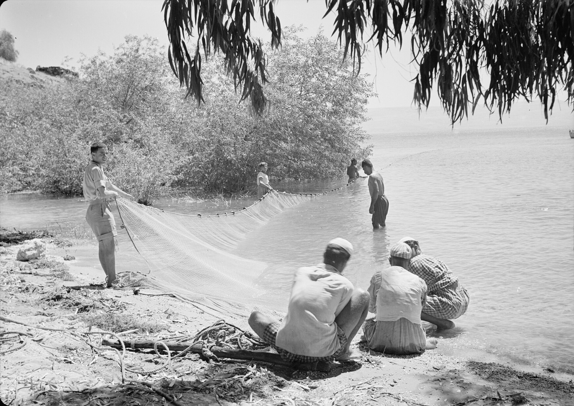 Fishermen hauling a dragnet to the shore near Tiberias on the Sea of Galilee, 1940